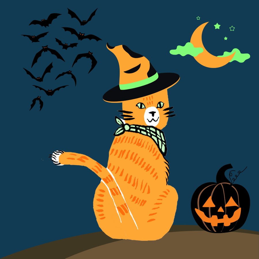 Halloween with Kipper the Cat