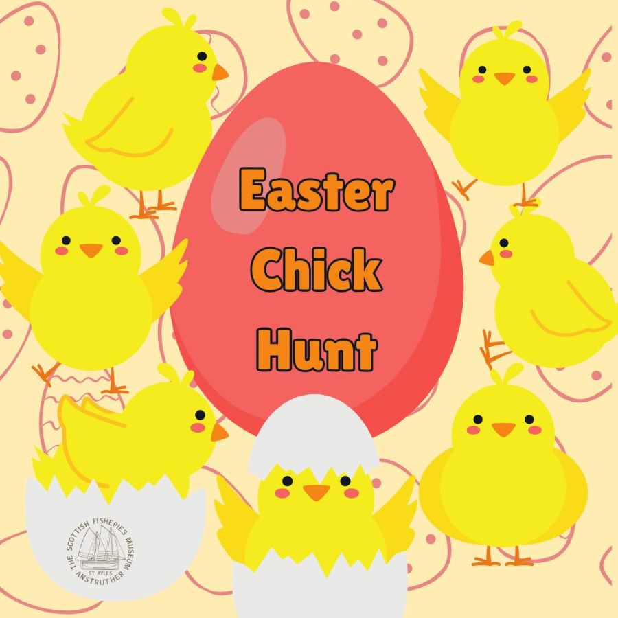 Easter Chick Hunt