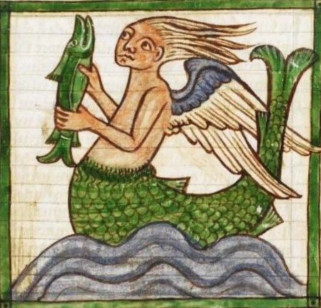 The Mermaid Chronicle